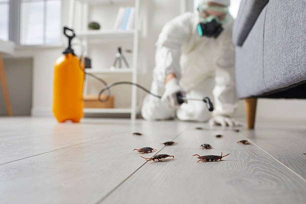 Commercial Kitchen Cockroach Control in Sewall's Point